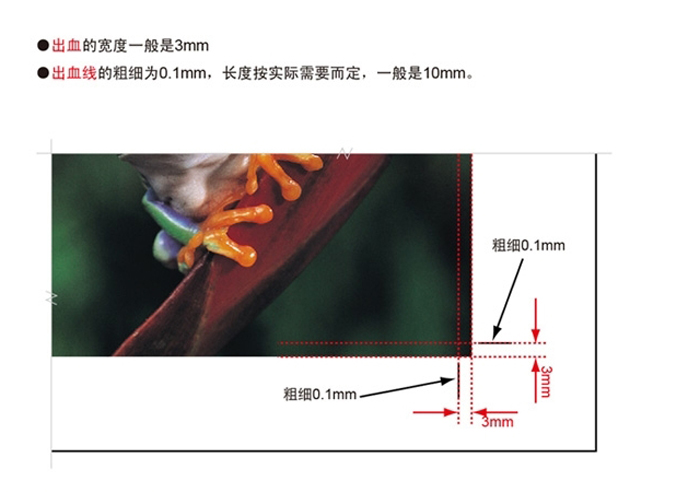 出血位設(shè)計(jì)圖示1